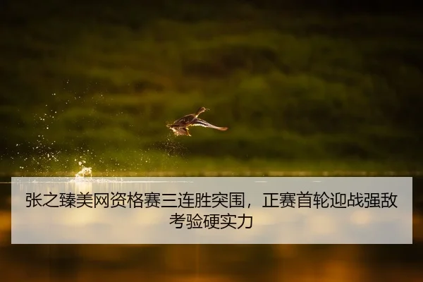 张之臻美网资格赛三连胜突围，正赛首轮迎战强敌考验硬实力