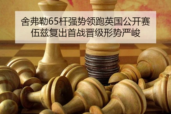 she-fu-lei-gan-qiang-shi-ling-pao-ying-guo-gong-kai-sai-wu-zi-fu-chu-shou-zhan-jin-ji-xing-shi-yan-jun-3-422.jpg
