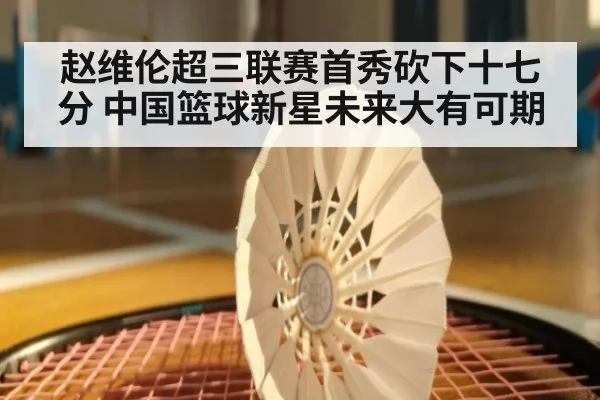 赵维伦超三联赛首秀砍下十七分 中国篮球新星未来大有可期
